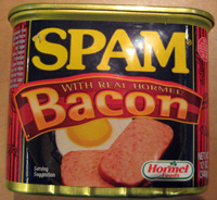 Illustration for article titled Bacon: the final frontier